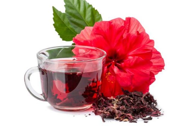Chá de hibisco - Emagrece? Como tomar corretamente? Saiba!